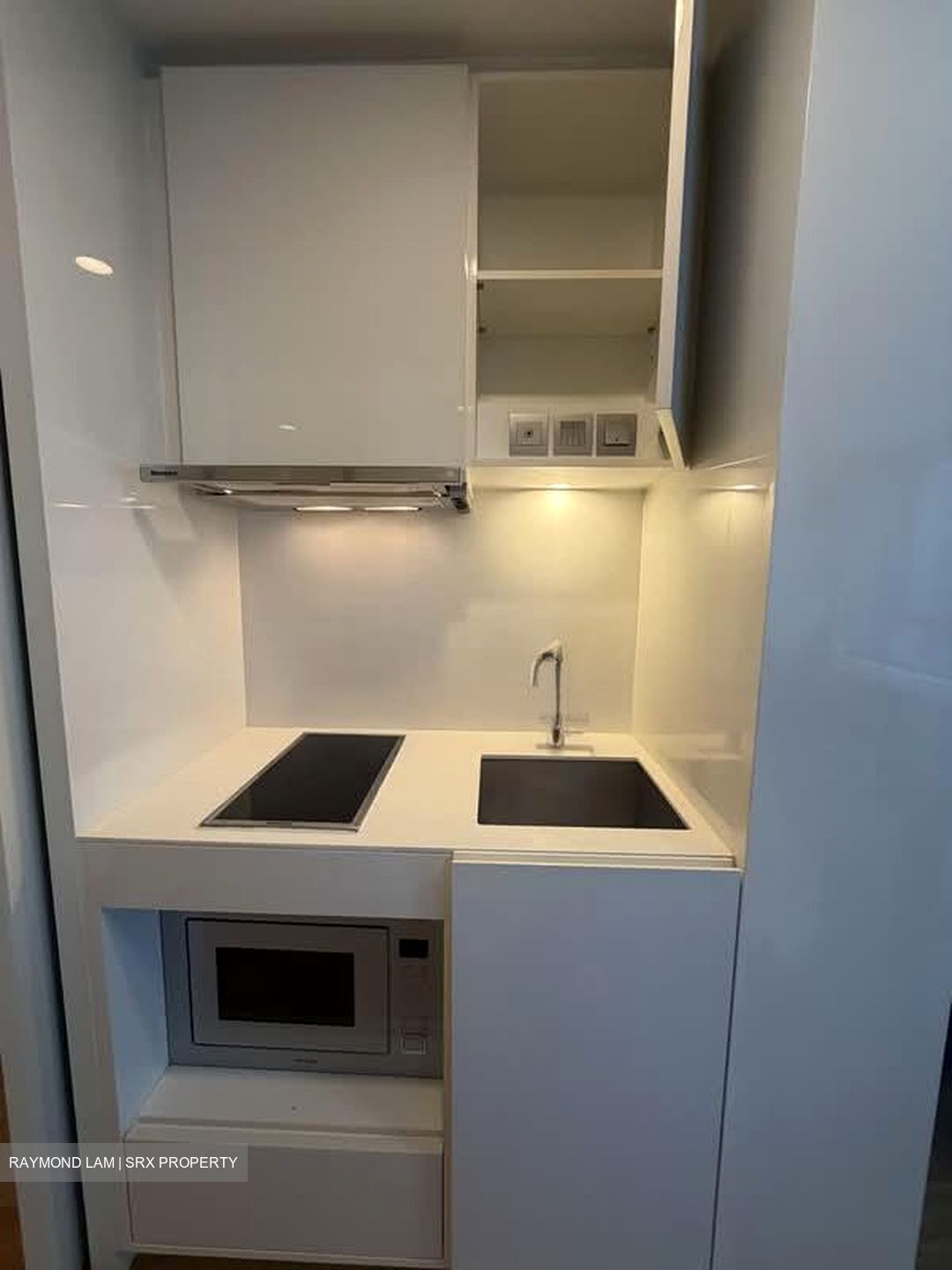 Skysuites@Anson (D2), Apartment #575807711